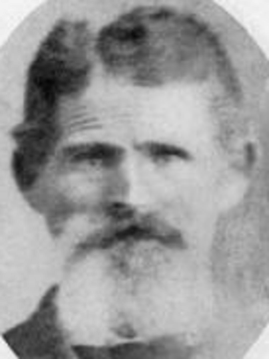 William Milton Bell (1833 - 1908) Profile